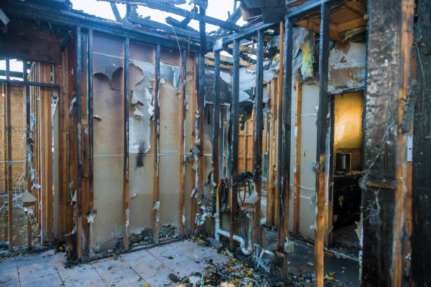 Professional Smoke Odor Removal technician working in Middleburg, FL