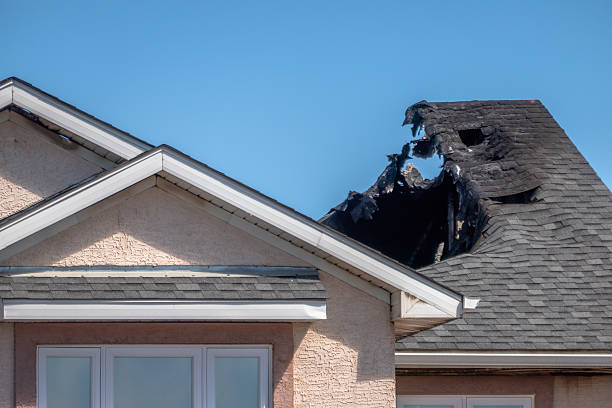 Top rated local Smoke Odor Removal specialists in Middleburg, FL
